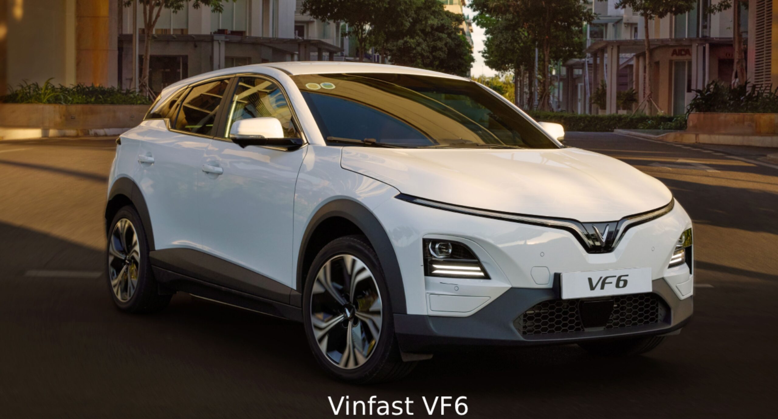 VINFAST VF6
